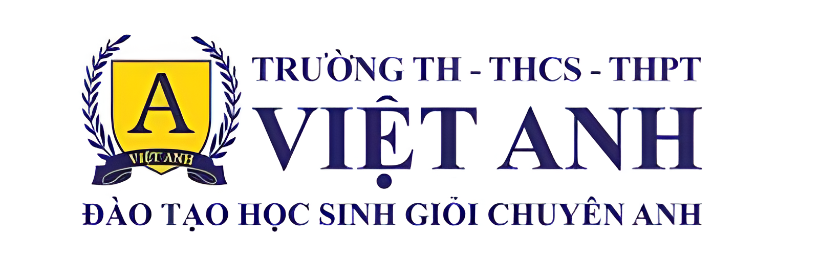 Trường Quốc tế Việt Anh