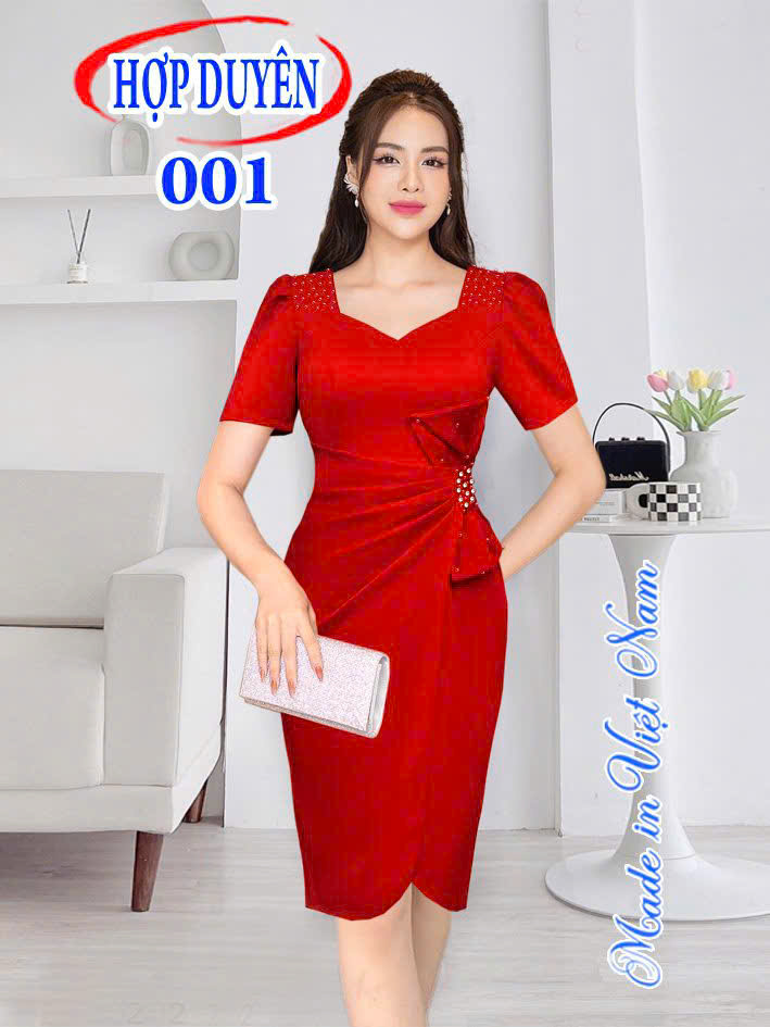 Đầm công sở 001
